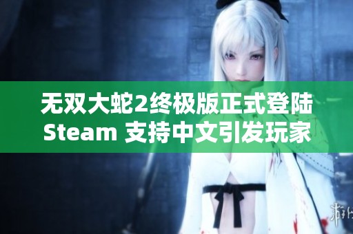 无双大蛇2终极版正式登陆Steam 支持中文引发玩家热议