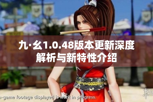 九·幺1.0.48版本更新深度解析与新特性介绍