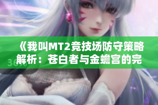 《我叫MT2竞技场防守策略解析：苍白者与金蟾宫的完美搭配》
