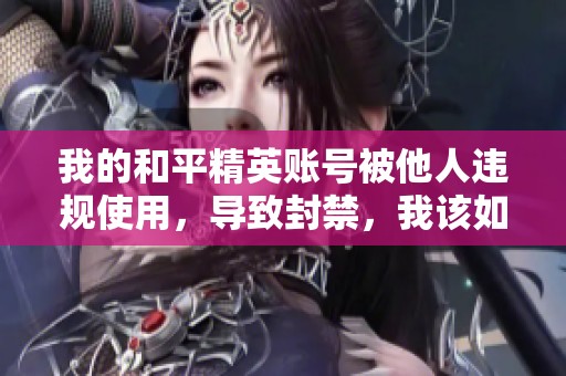 我的和平精英账号被他人违规使用，导致封禁，我该如何解决问题