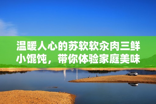 温暖人心的苏软软汆肉三鲜小馄饨，带你体验家庭美味的日常魅力
