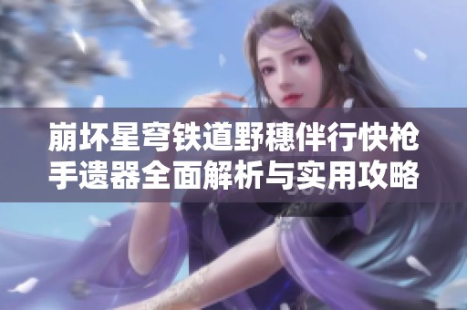 崩坏星穹铁道野穗伴行快枪手遗器全面解析与实用攻略分享