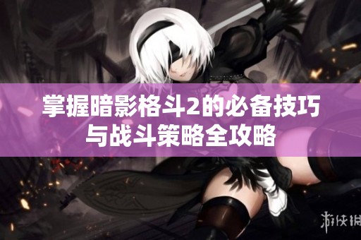 掌握暗影格斗2的必备技巧与战斗策略全攻略