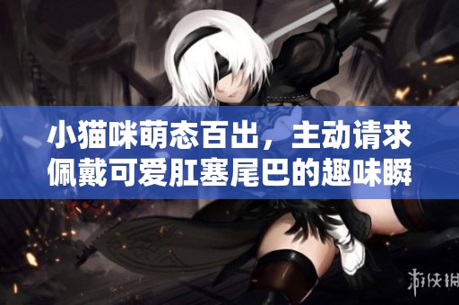 小猫咪萌态百出，主动请求佩戴可爱肛塞尾巴的趣味瞬间