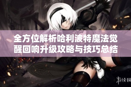 全方位解析哈利波特魔法觉醒回响升级攻略与技巧总结