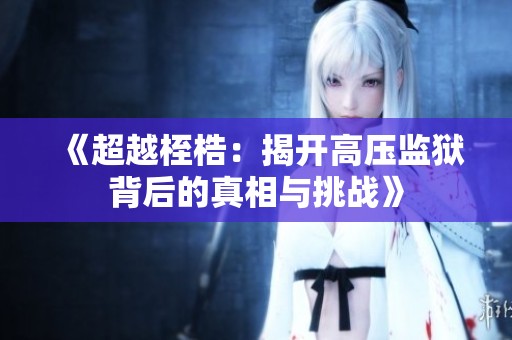 《超越桎梏：揭开高压监狱背后的真相与挑战》