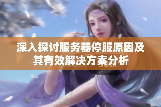 深入探讨服务器停服原因及其有效解决方案分析