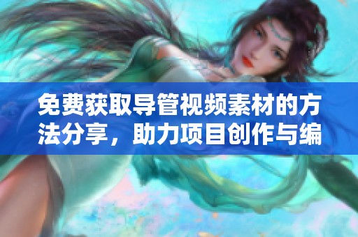 免费获取导管视频素材的方法分享，助力项目创作与编辑工作