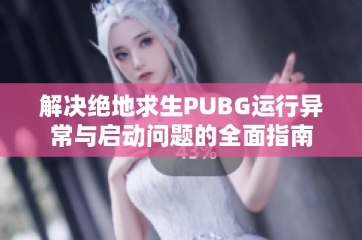 解决绝地求生PUBG运行异常与启动问题的全面指南