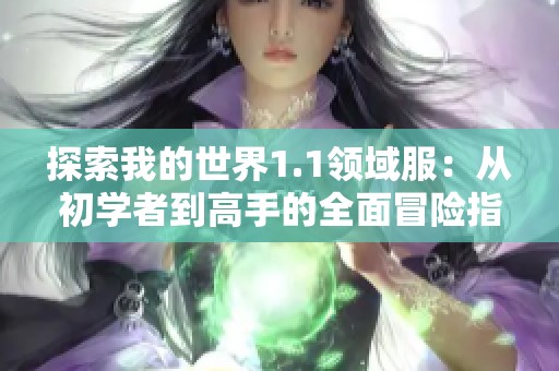 探索我的世界1.1领域服：从初学者到高手的全面冒险指南