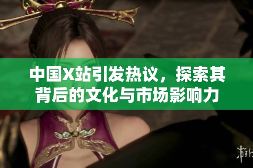 中国X站引发热议，探索其背后的文化与市场影响力