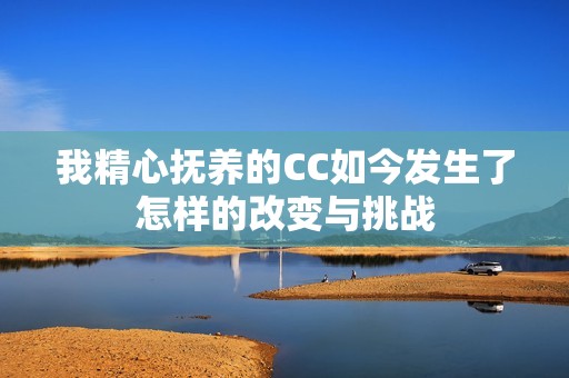 我精心抚养的CC如今发生了怎样的改变与挑战