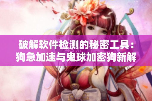 破解软件检测的秘密工具：狗急加速与鬼球加密狗新解法
