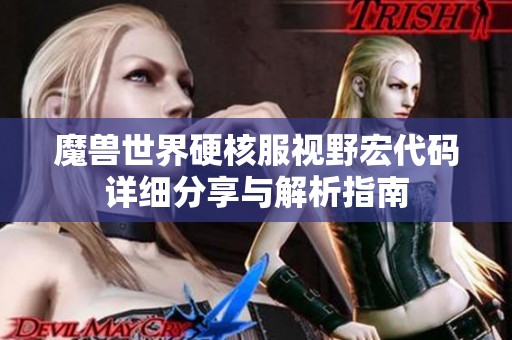 魔兽世界硬核服视野宏代码详细分享与解析指南