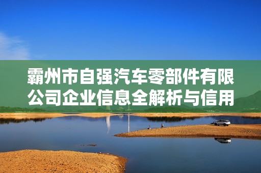霸州市自强汽车零部件有限公司企业信息全解析与信用分析