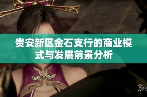 贵安新区金石支行的商业模式与发展前景分析