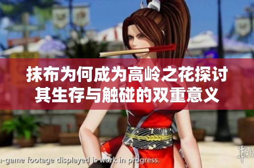 抹布为何成为高岭之花探讨其生存与触碰的双重意义