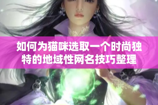如何为猫咪选取一个时尚独特的地域性网名技巧整理
