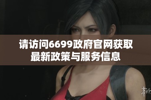 请访问6699政府官网获取最新政策与服务信息