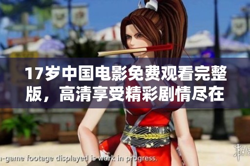 17岁中国电影免费观看完整版，高清享受精彩剧情尽在掌握之中