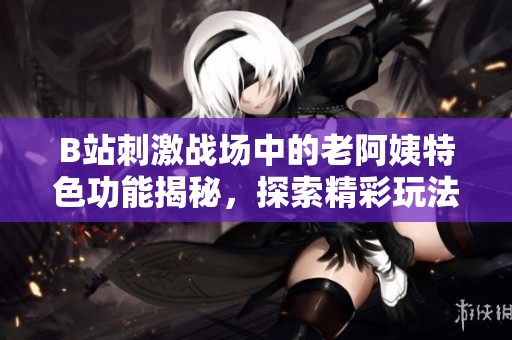B站刺激战场中的老阿姨特色功能揭秘，探索精彩玩法与趣味体验