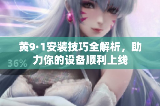 黄9·1安装技巧全解析，助力你的设备顺利上线