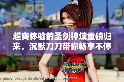 超爽体验的圣剑神域重磅归来，沉默刀刀带你畅享不停乐趣