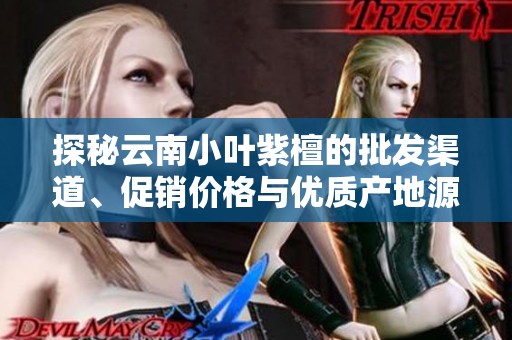 探秘云南小叶紫檀的批发渠道、促销价格与优质产地源头信息