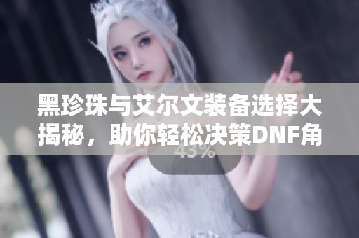 黑珍珠与艾尔文装备选择大揭秘，助你轻松决策DNF角色搭配