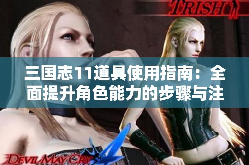 三国志11道具使用指南：全面提升角色能力的步骤与注意事项详解