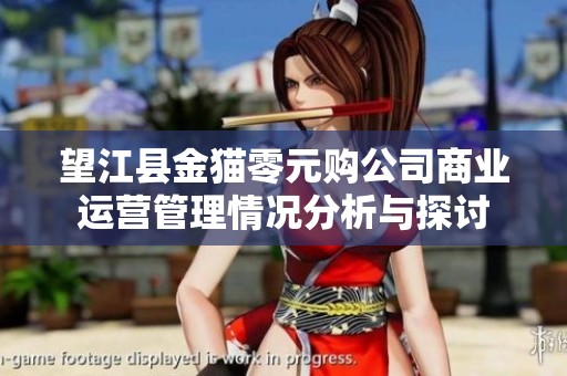 望江县金猫零元购公司商业运营管理情况分析与探讨