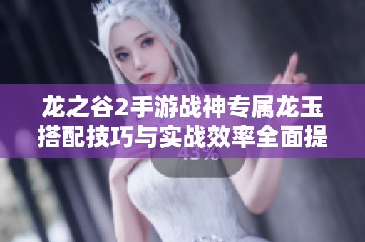 龙之谷2手游战神专属龙玉搭配技巧与实战效率全面提升指南
