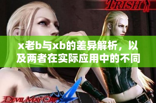x老b与xb的差异解析，以及两者在实际应用中的不同表现