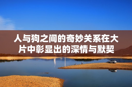 人与狗之间的奇妙关系在大片中彰显出的深情与默契