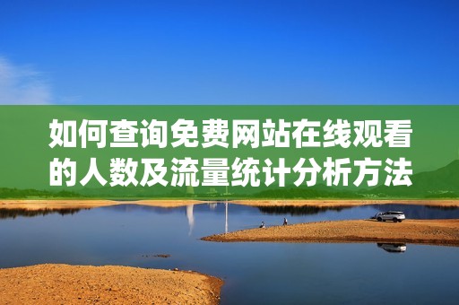 如何查询免费网站在线观看的人数及流量统计分析方法