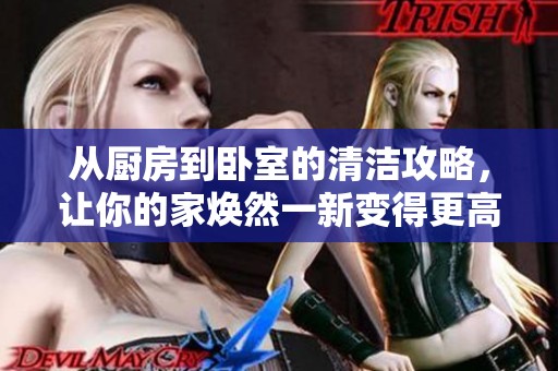 从厨房到卧室的清洁攻略，让你的家焕然一新变得更高效