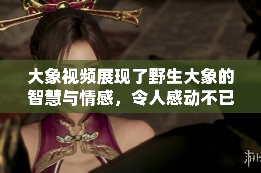 大象视频展现了野生大象的智慧与情感，令人感动不已