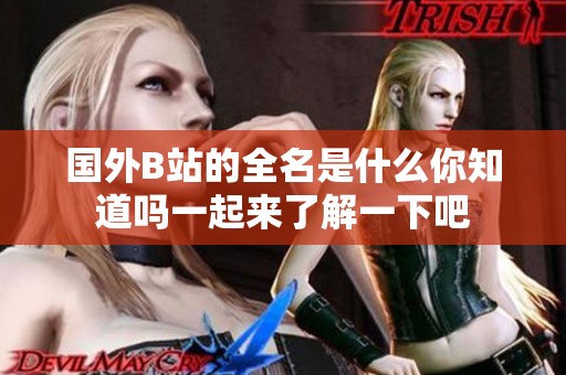 国外B站的全名是什么你知道吗一起来了解一下吧