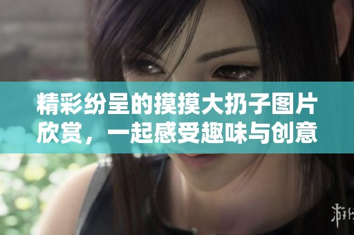 精彩纷呈的摸摸大扔子图片欣赏，一起感受趣味与创意的结合