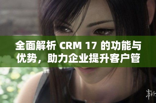 全面解析 CRM 17 的功能与优势，助力企业提升客户管理效率