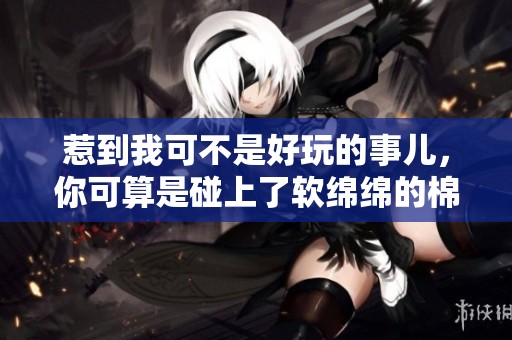 惹到我可不是好玩的事儿，你可算是碰上了软绵绵的棉花球